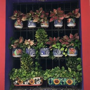 Meet your Posher, Celine